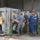 WhatsApp Image 2024-05-24 à 16.26.55_2a2d4147