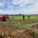 WhatsApp Image 2024-05-14 à 15.53.33_516e3909