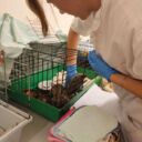 WhatsApp Image 2024-06-28 à 14.17.32_8de1b99f