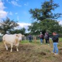 459565002_1157501065709445_2633849708795811254_n