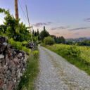 WhatsApp Image 2025-01-13 à 19.46.55_3cf0b346