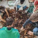 Expérimentation - BTS ACD 2025