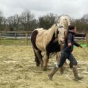 WhatsApp Image 2025-03-27 à 15.52.08_5486bb37