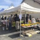 WhatsApp Image 2025-04-07 à 13.07.02_aa525909